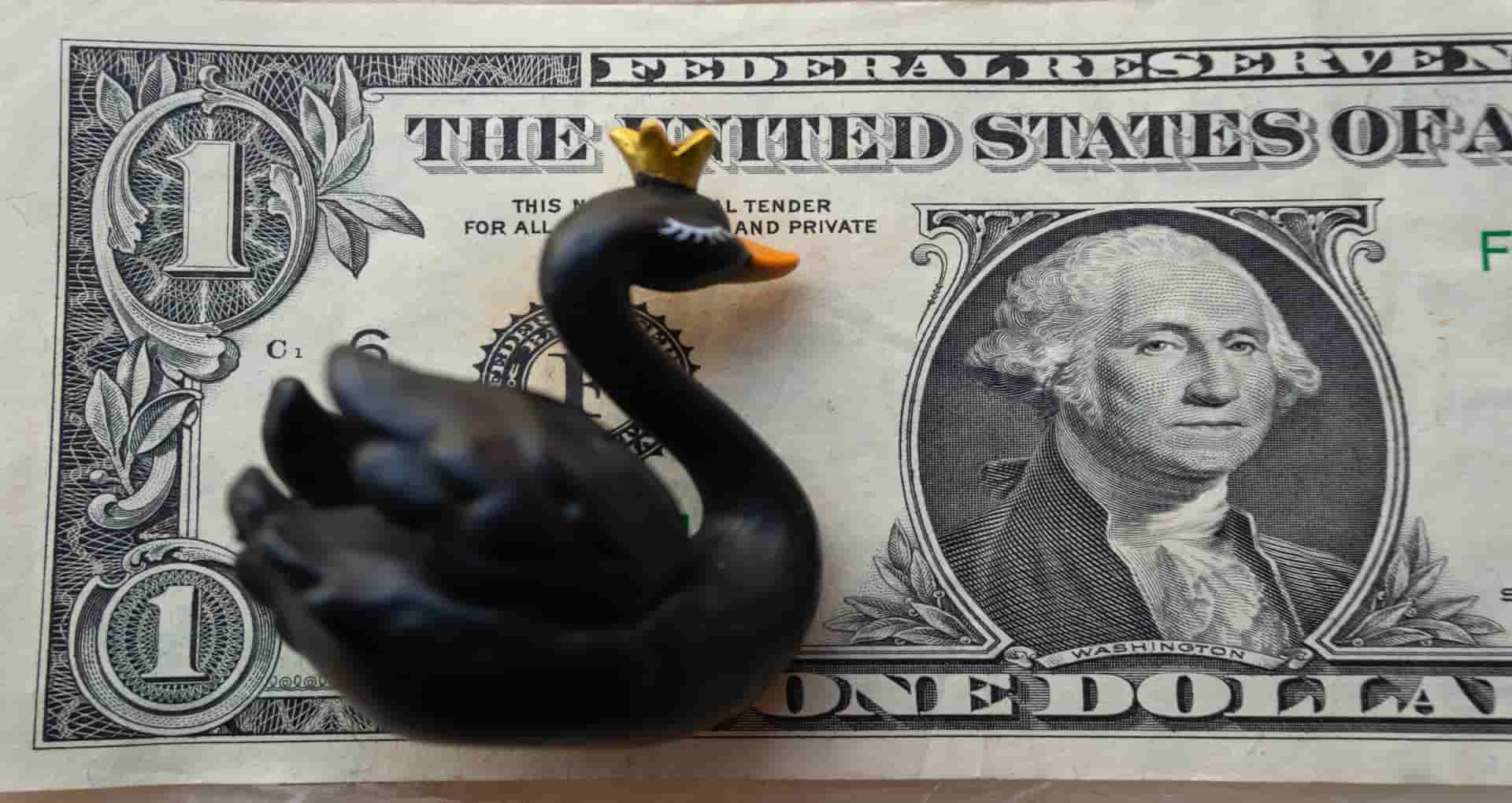 Black Swan Events Explained: What They Mean for the Stock Market and Your Money