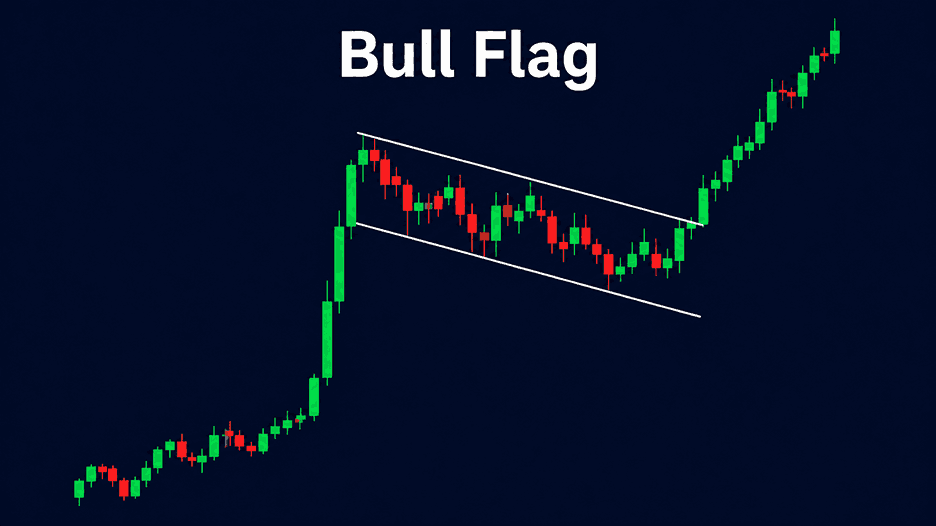 bull-flag.png