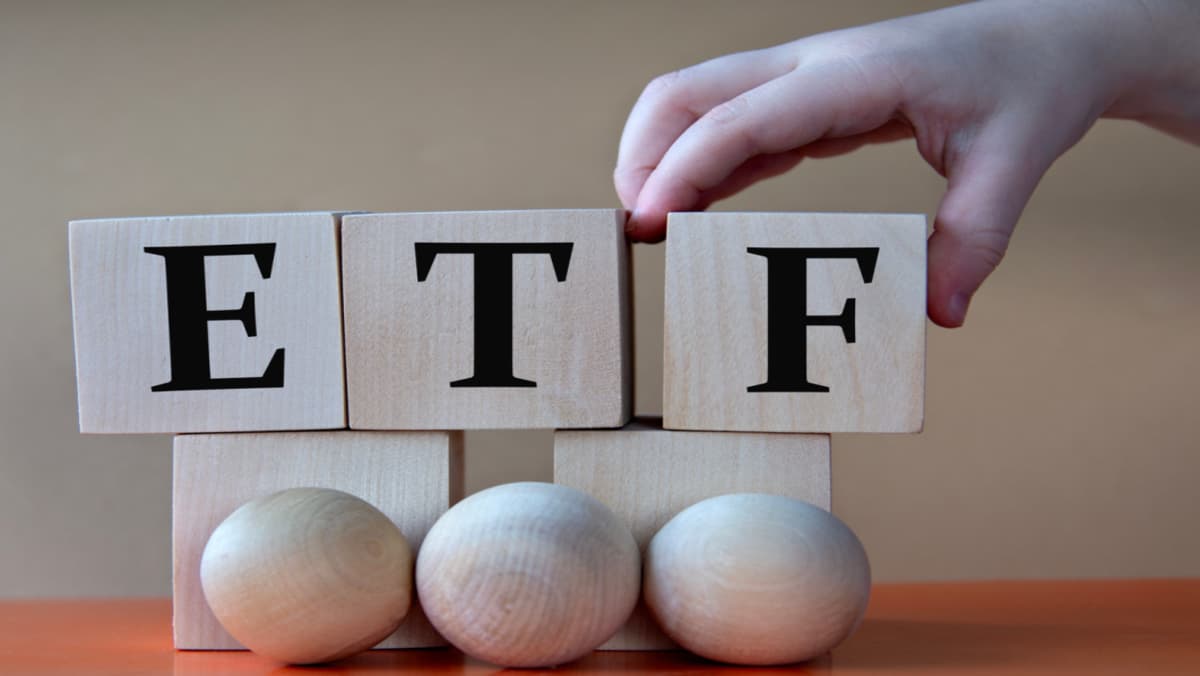 Top 10 best ETFs to invest in South Africa: Satrix 40 ETF, SYG500, STXDIV and more