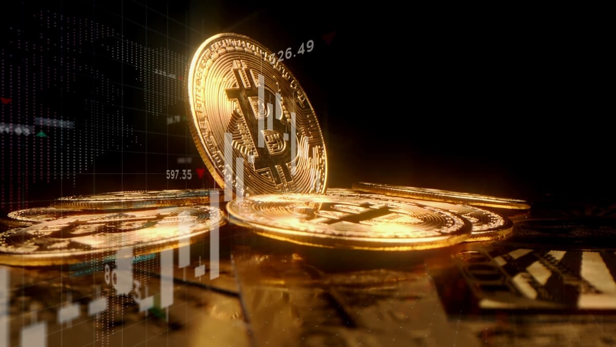Crypto CFD Trading Brokers and Platforms: eToro, Plus500, BlackBull Markets