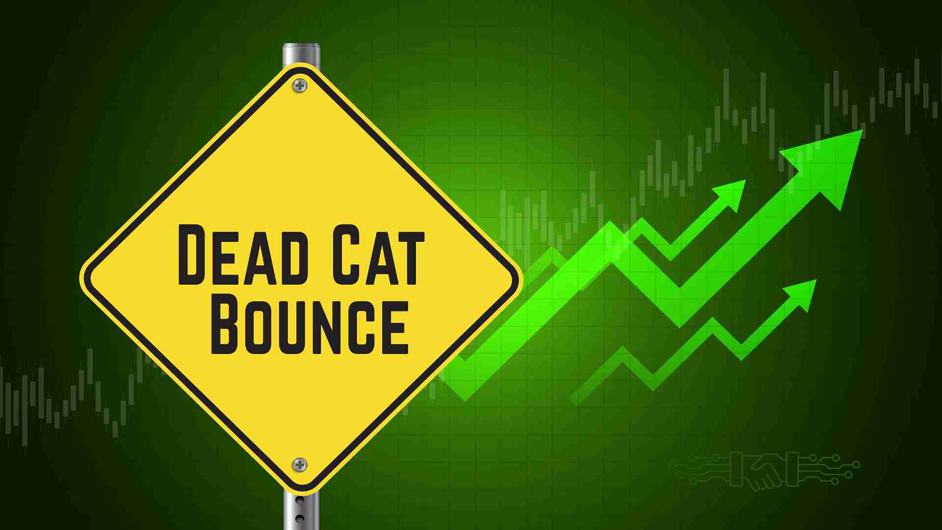 Dead Cat Bounce: Meaning, Examples and How Traders Spot False Rallies