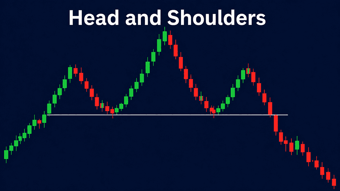 haed-shoulders.png