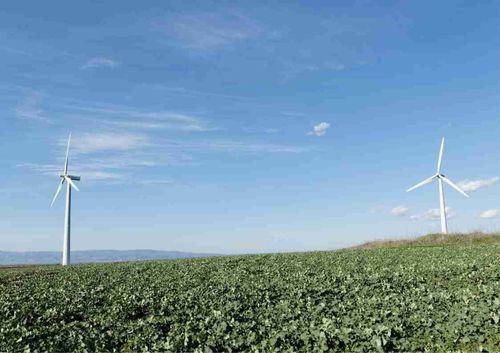 Wind turbines in a field, symbolise renewable energy and sustainability
