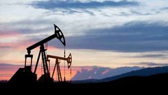 oil